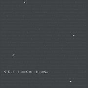 HARUOMI HOSONO - "N.D.E." 2xLP